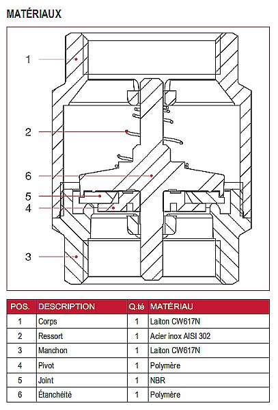 Clapet anti-retour droit EUROPA DN 65 2 1/2 - Torin