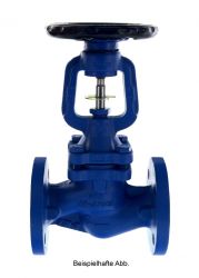 Faltenbalg-Absperrventil SPIRAX SARCO BSA1T, DN25 