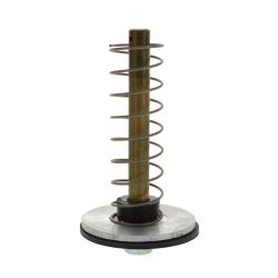 Ventilkolben mit Feder und Dichtung für 2"  