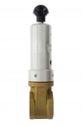 Vanne pneumatique SEAL 2", 1 voie 