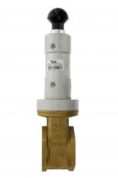 Vanne pneumatique DEAL 2 1/2", 2 voies 