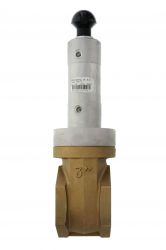 Vanne pneumatique DEAL 3", 2 voies 