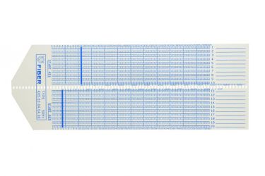 FIBER PROGRAMMCARD 60 min. 