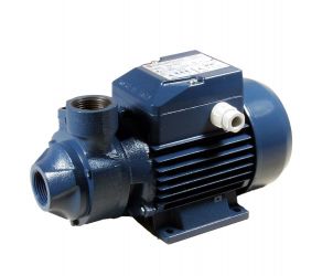 Pumpe PKm65, 1 Phase, 0,53 kW, 5 bar, 1" x 1" 