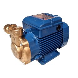 Pumpe PQm 81-BS, 230V/50Hz, 0,55 kW, 10 bar 