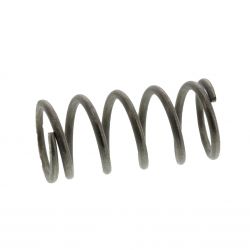 DUE EFFE 245301- Feder für Ventil, für Fremddampf- 