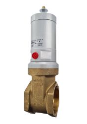 MAROS DISK-F 2" recoil gate valve, 1-way 