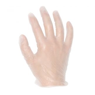 Vinyl gloves, powder-free, size large  