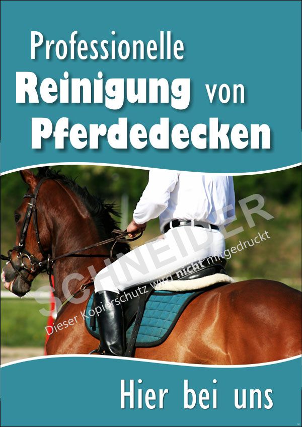 Plakat XA3604 DIN A0, farbiger Druck,  Motiv: Reinigung von Pferdedecken