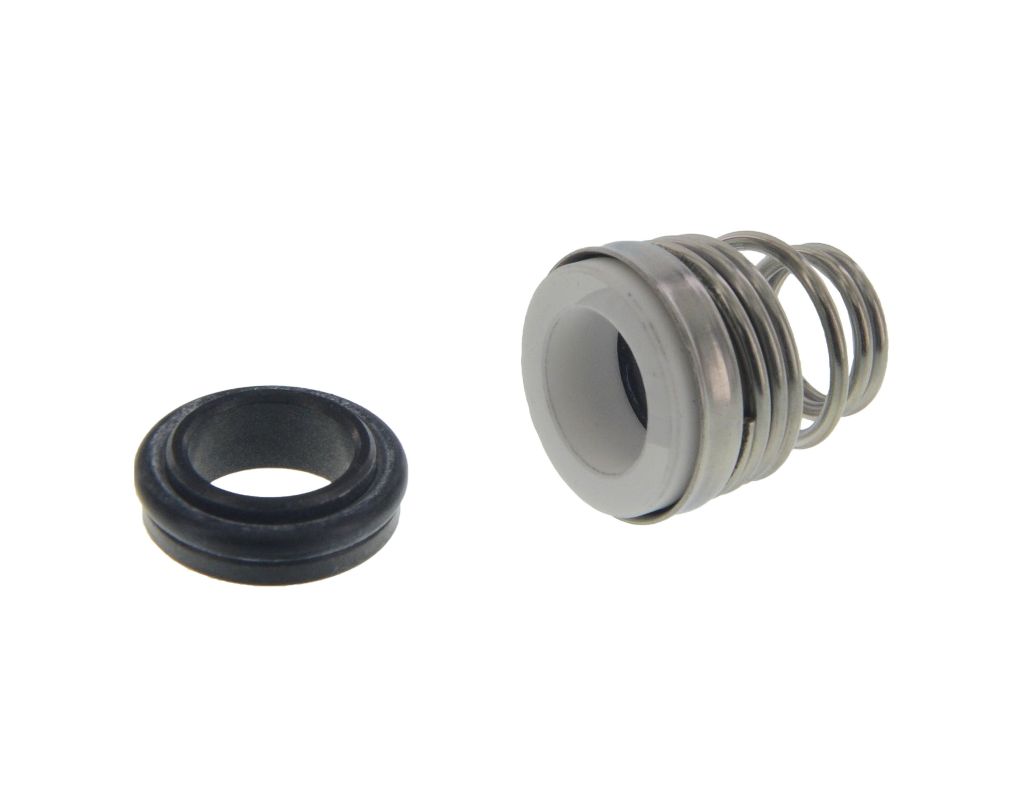 Wellendichtung für Dosierpumpe SEM von DUE EFFE 