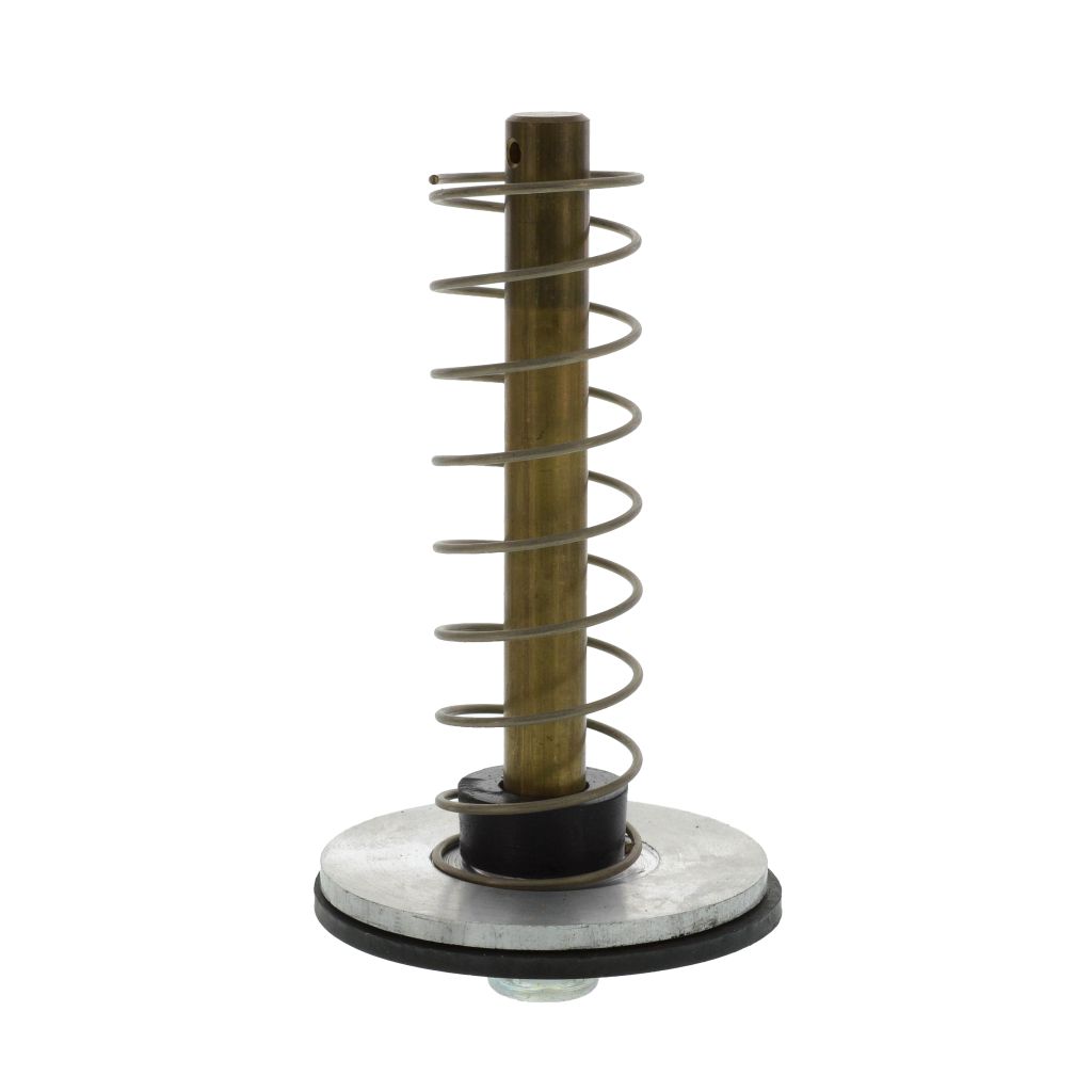 Ventilkolben mit Feder und Dichtung für 2"  