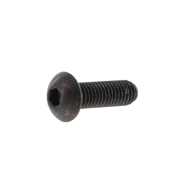 Front fixing screw for handle support, 5 x 16 mm 
