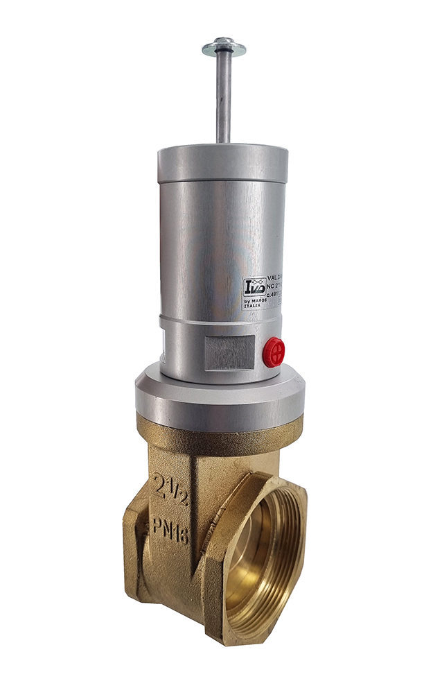 vanne pneumatique à tiroir MAROS DISK-F 2 1/2", 